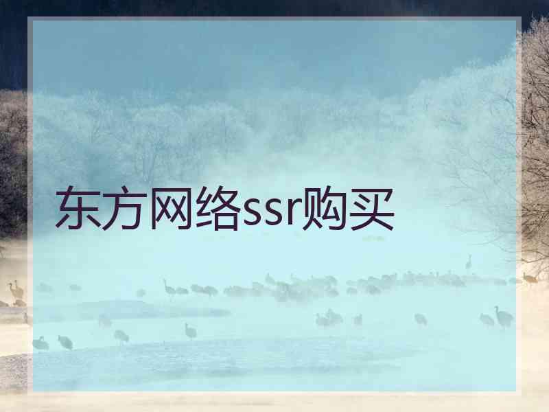 东方网络ssr购买